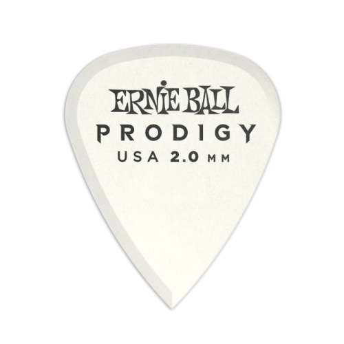 ERNIE BALL P09202