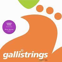 GALLI STRINGS FG017