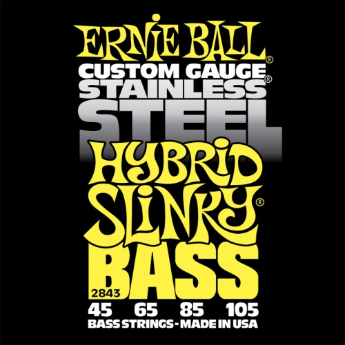 Ernie Ball 2843