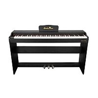 EMILY PIANO D-51 BK