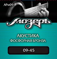 МОЗЕРЪ APw09