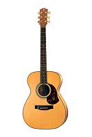 Maton EBG808-ARTIST