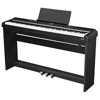 EMILY PIANO D-20 BK