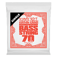 ERNIE BALL P01670