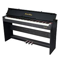 EMILY PIANO D-52 BK